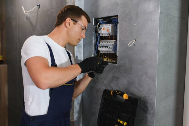 Best Electric Panel Repair  in Mountain View, AR